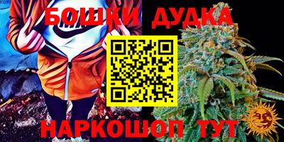 индика Бузулук