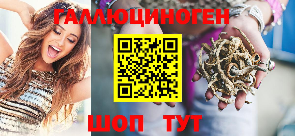 Псилоцибиновые грибы Psilocybe Наро-Фоминск