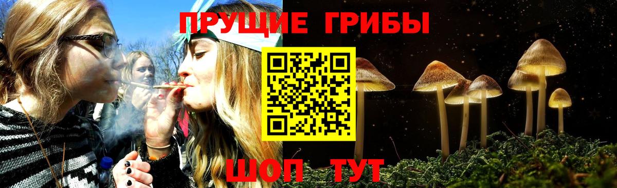 Псилоцибиновые грибы MAGIC MUSHROOMS  Вход с VPN  Псилоцибиновые грибы мухоморы  Наро-Фоминск 